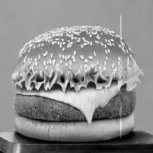 Cheese Cutlet Burger