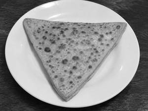 Plain Paratha