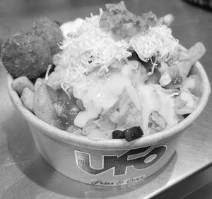 New Loaded Fries