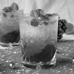 Cranberry Mojito