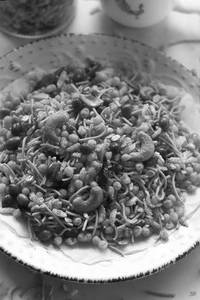 Special Mixture (150 Gm)