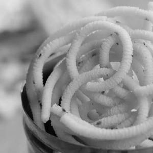 Kuthiraivalli Murukku (150 Gms)