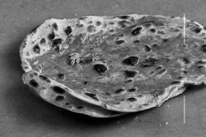 Lachha parantha