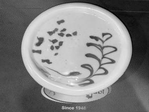 Fruit Raita.