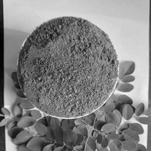 Moringa Leaves Powder 100gm