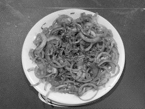 Sirka Onion.
