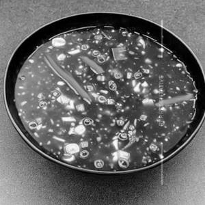 Veg Lung-fung Soup