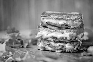 Cheese Sandwhich