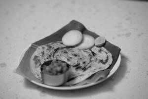 Parota(2)