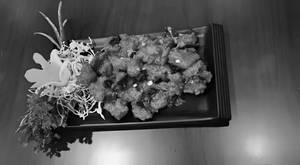Chicken 65