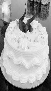 Cake Vanilla