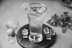 Mint Mojito