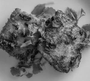 Fish fry (2)