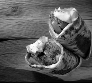 Shawarma