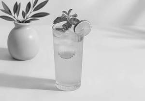 Virgin Mojito