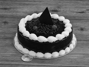 Choco Punch Delight Cake (475 Gms)