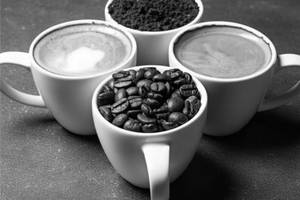 Filter Coffee (150 Ml)