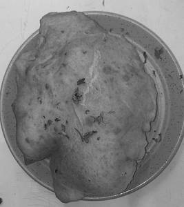Extra Bhatura-1 Piece