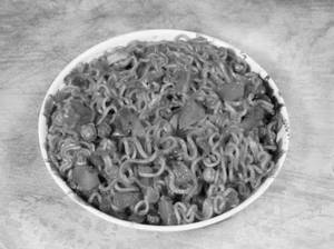 Tomato maggi