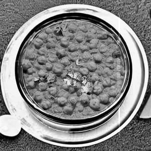 Pindi Chana Dry
