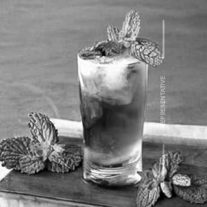 Mint mojit