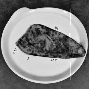 Tandoori Pomfret