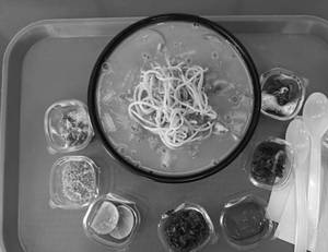 Veg Khow Suey