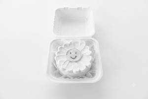 Pineapple Bento Cake