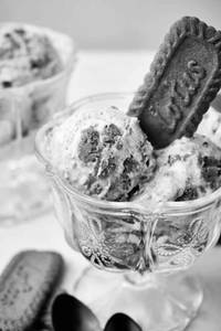 Exotic biscoff ice-cream
