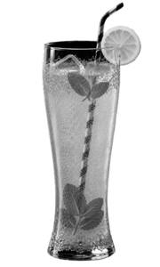 Kiwi Mojito