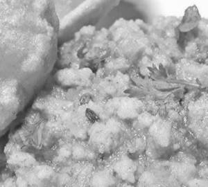 Poori Vadacurry 3pcs