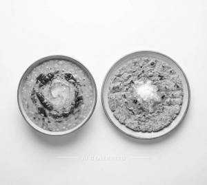 Dal Tadka + Butter Bhakri (1 piece)