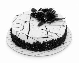 Choco Vanilla Cake