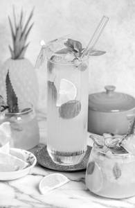 Pineapple Mojito