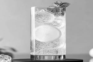 Fresh Lime Soda