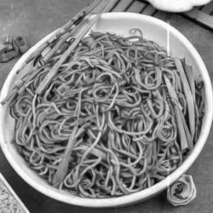 Hot garlic hakka noodles  [chicken]