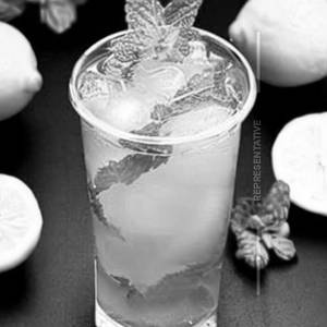 Lemon Mint Cooler
