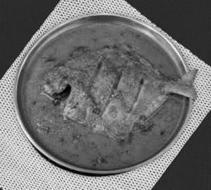 Fresh Pomfret Curry