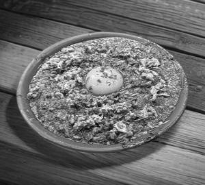 Egg maharaja
