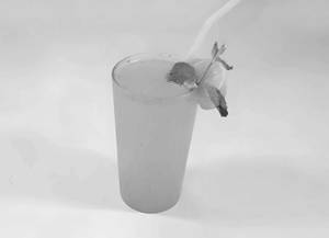 Fresh Lemon Soda S/s