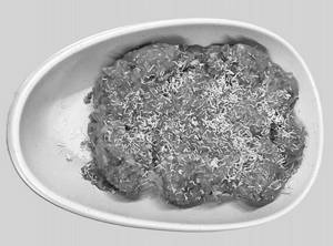 Paneer Crunchi (pure Milk Paneer)
