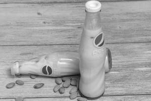 Parkash Special Dry Fruit Milk Badam