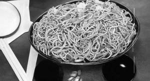 Hakka Noodles