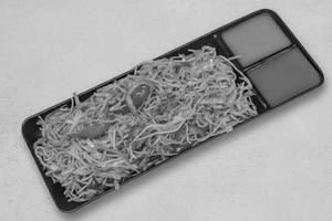 Veg Noodles