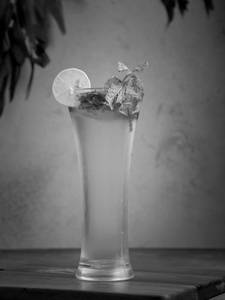 Mint Mojito(New)
