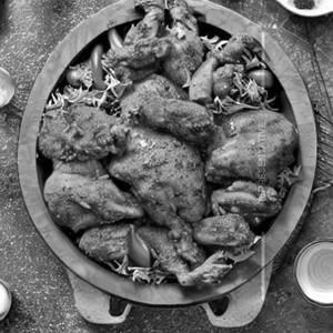 Chicken & Turkey Overload