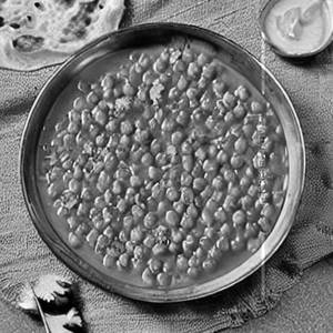 Fried Chana Dal Tadka