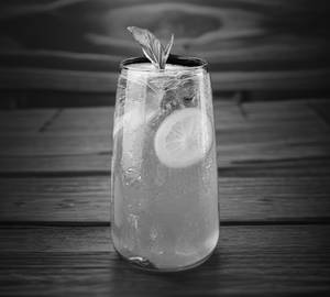 Mint mojito mojito