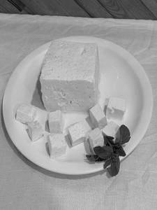 Fresh Paneer