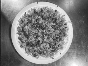 Peanut Masala